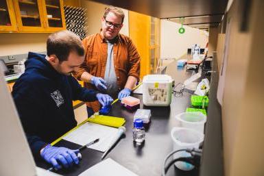 Dr. 生物学助理教授戴恩·鲍德(Dane Bowder)在他的实验室里与一名学生一起工作. 